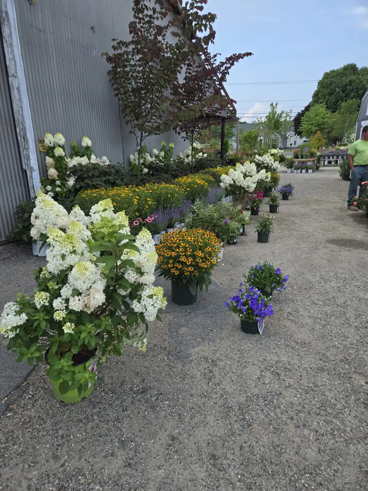 Nelson Landscaping crew in Massachusetts